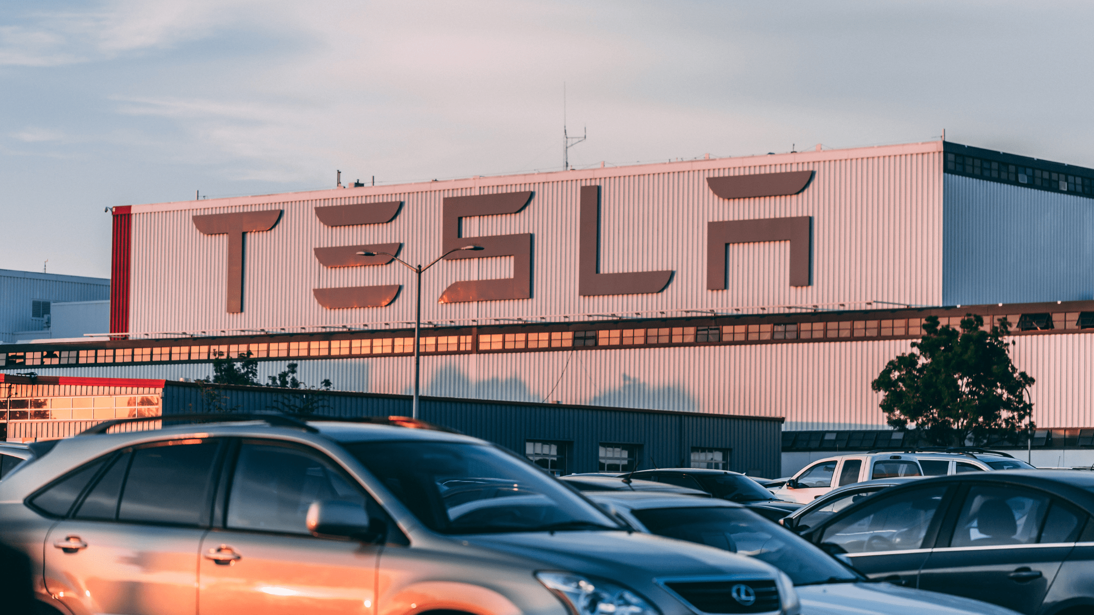 Tesla Cars standing in front of a manufacturing plant